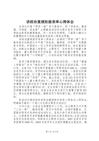 讲政治重规矩做表率心得体会