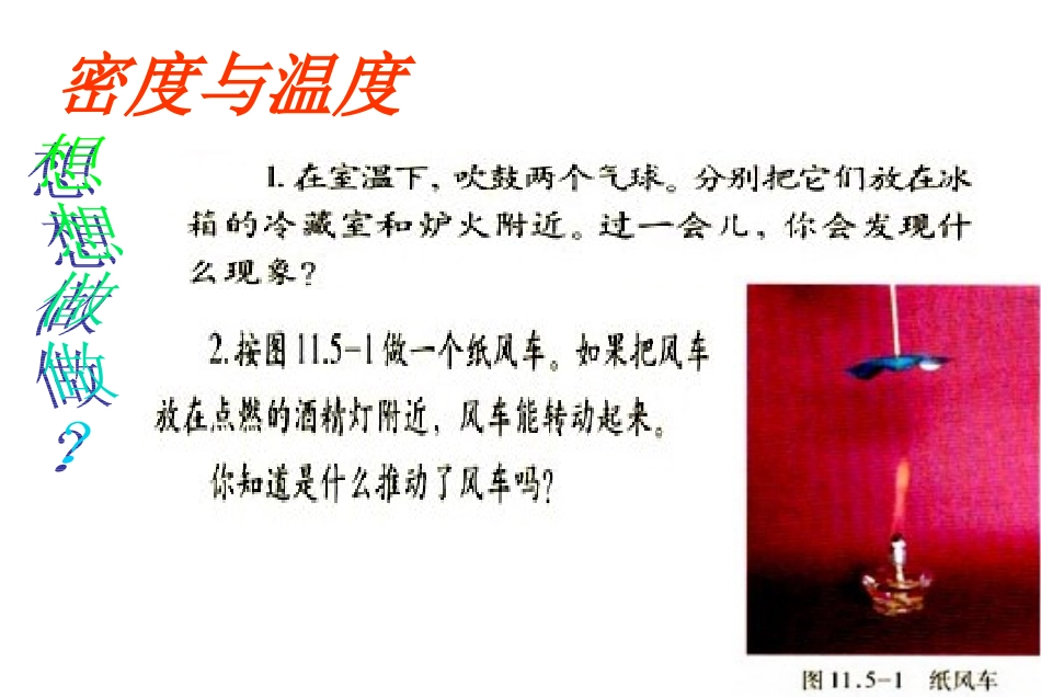 密度与社会生活_第2页