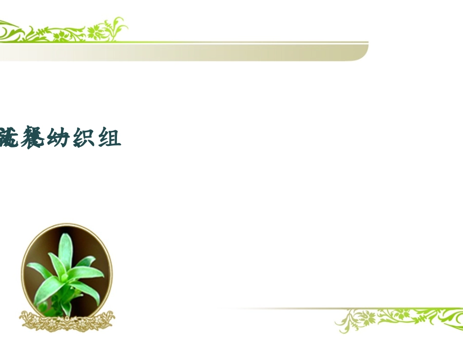 如何有效组织幼儿的进餐活动？_第3页