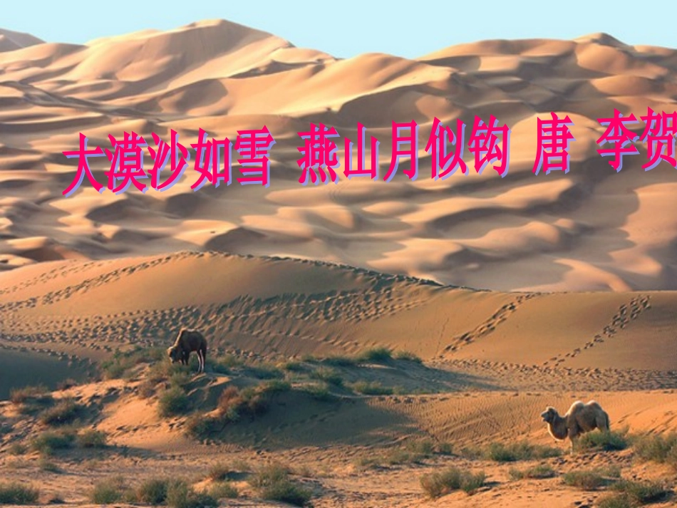 《在沙漠中心》课件2_第2页