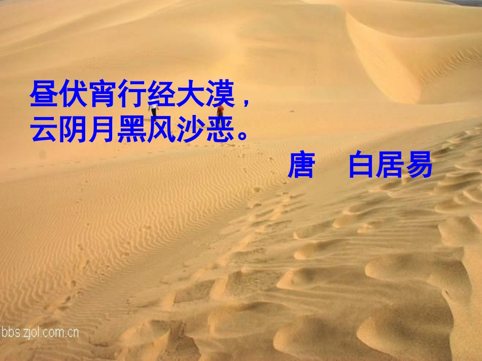 《在沙漠中心》课件2_第3页