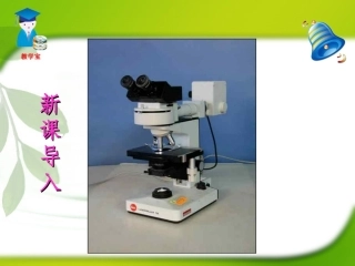 第一节练习使用显微镜