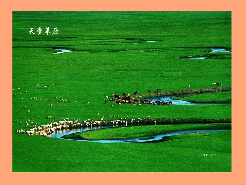 美丽的夏牧场_第2页