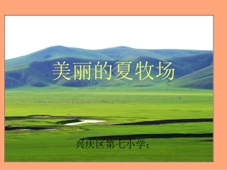 美丽的夏牧场