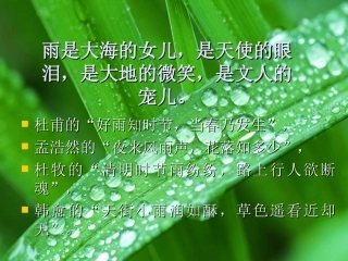 雨的四季(1)