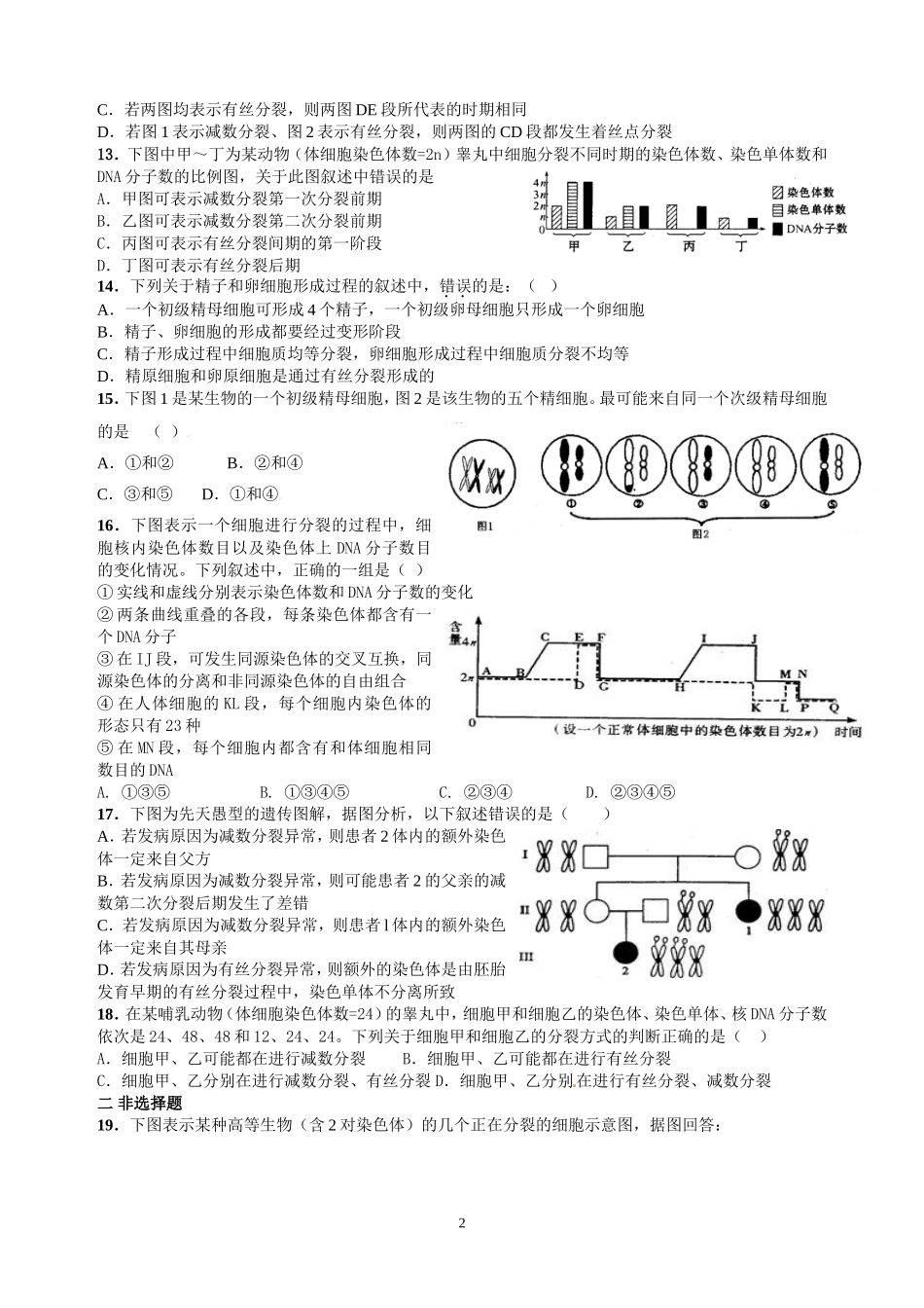 减数分裂练习题_第2页