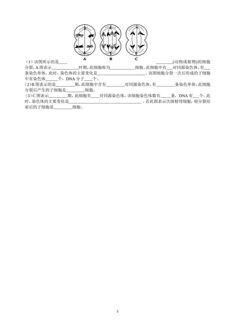 减数分裂练习题_第3页