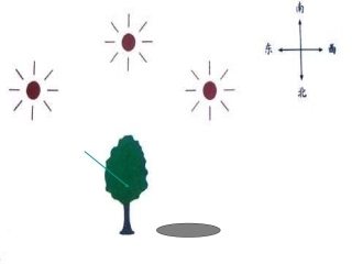 教科版科学五上《阳光下的影子》课件2[wwwedudownnet]