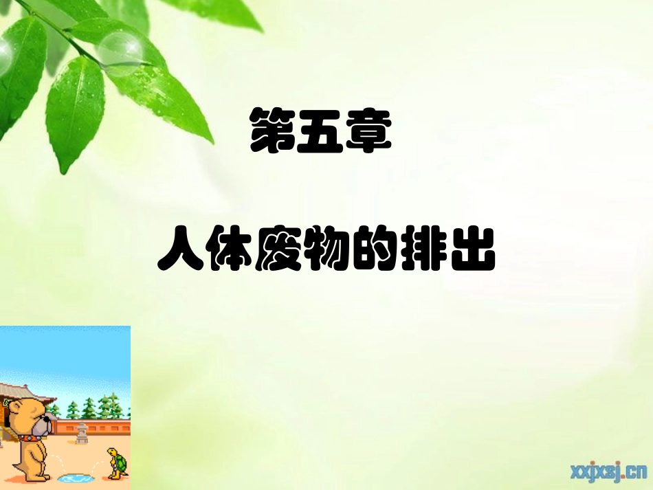 尿的形成和排出_第1页