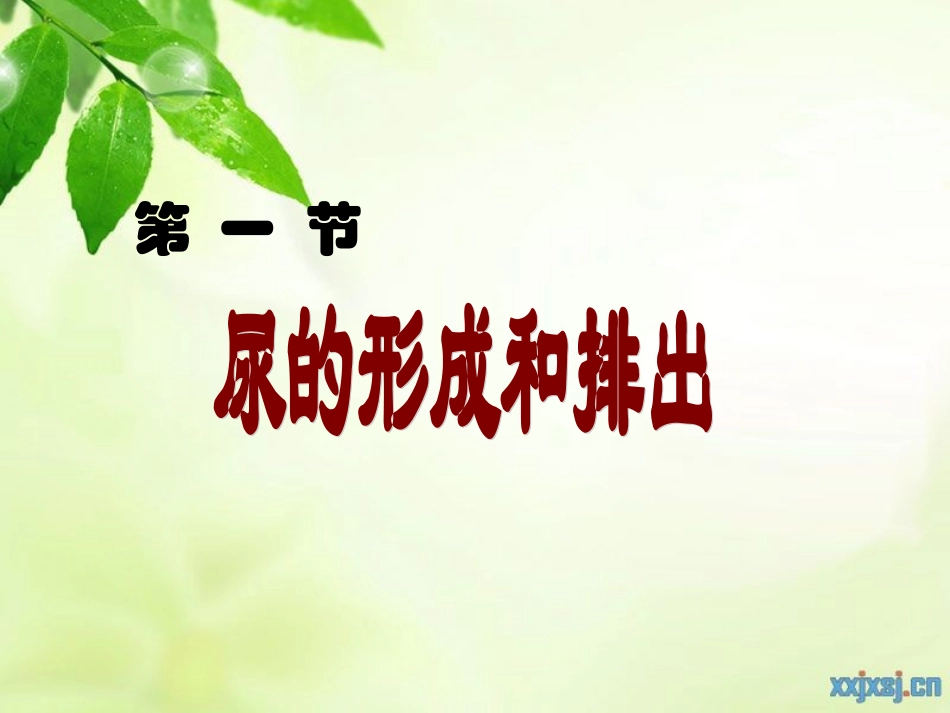 尿的形成和排出_第3页