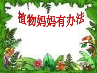 《植物妈妈有办法》课件 (2)