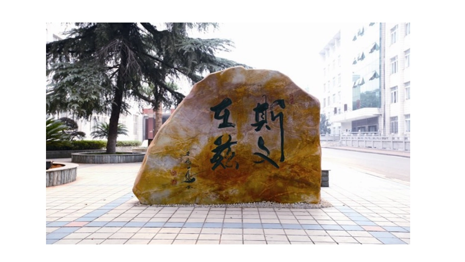 生活中的透镜 (2)_第2页