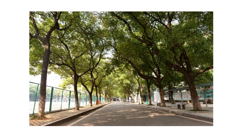 生活中的透镜 (2)_第3页