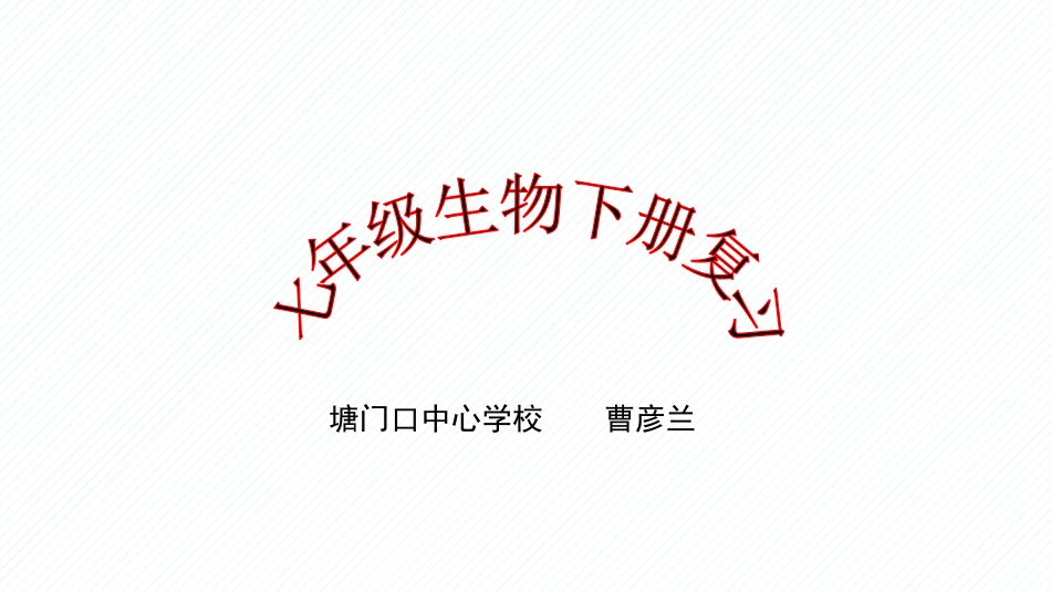 曹彦兰复习课件_第1页