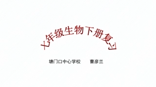 曹彦兰复习课件