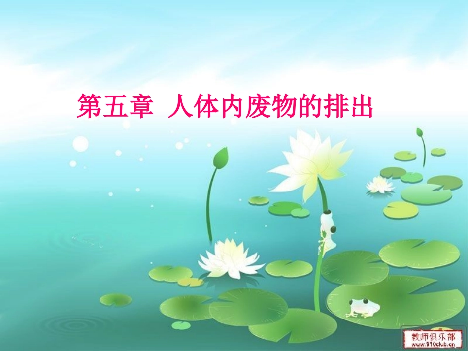 第五章人体内废物的排出PPT_第1页