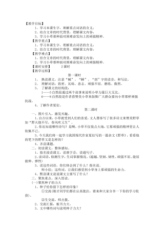 野草_教案 (2)