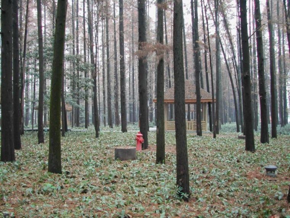 三年级语文第五册第六单元21《饮湖上初晴后雨》_第2页