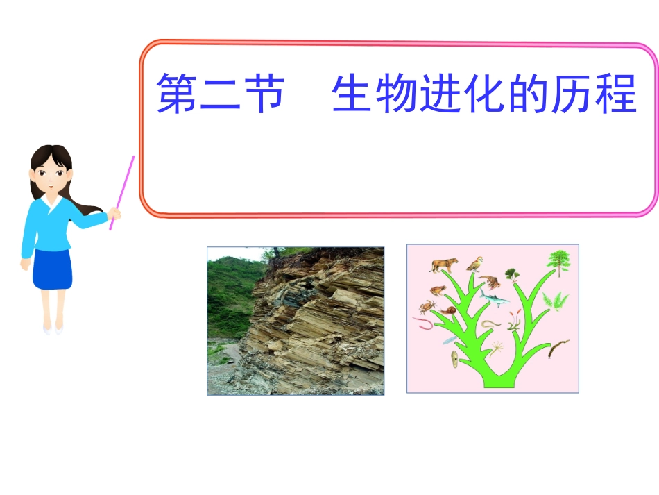 生物进化的历程 (2)_第1页