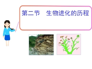 生物进化的历程 (2)