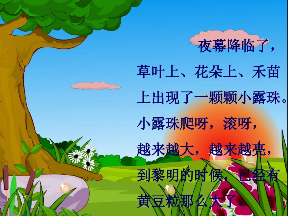 《小露珠》课件_第3页