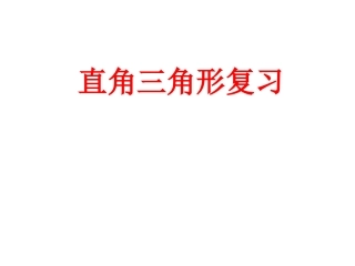 直角三角形复习课chai