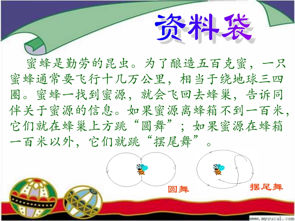 人教版三年级语文上册第14课《蜜蜂》第一课时PPT课件 (2)_第3页