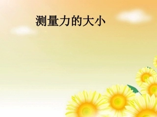 测量力的大小