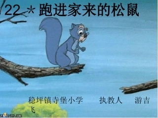 《跑进家来的松鼠》课件——游吉飞