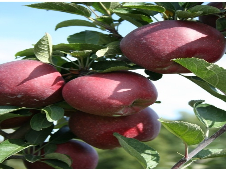 留言条(2)2_第2页