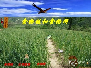 教科版五上15食物链和食物网