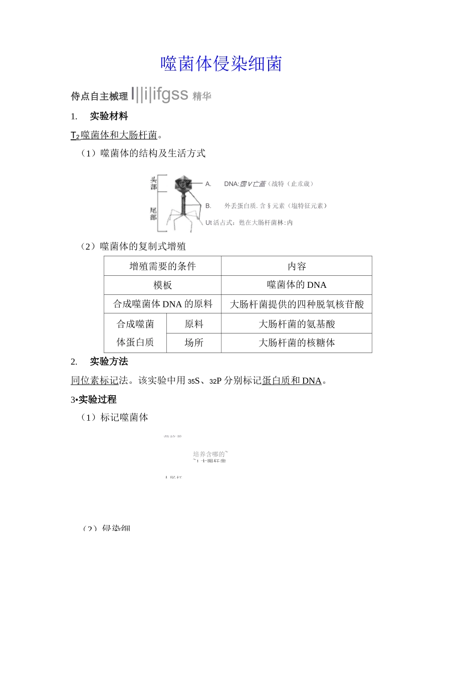 噬菌体侵染细菌_第1页