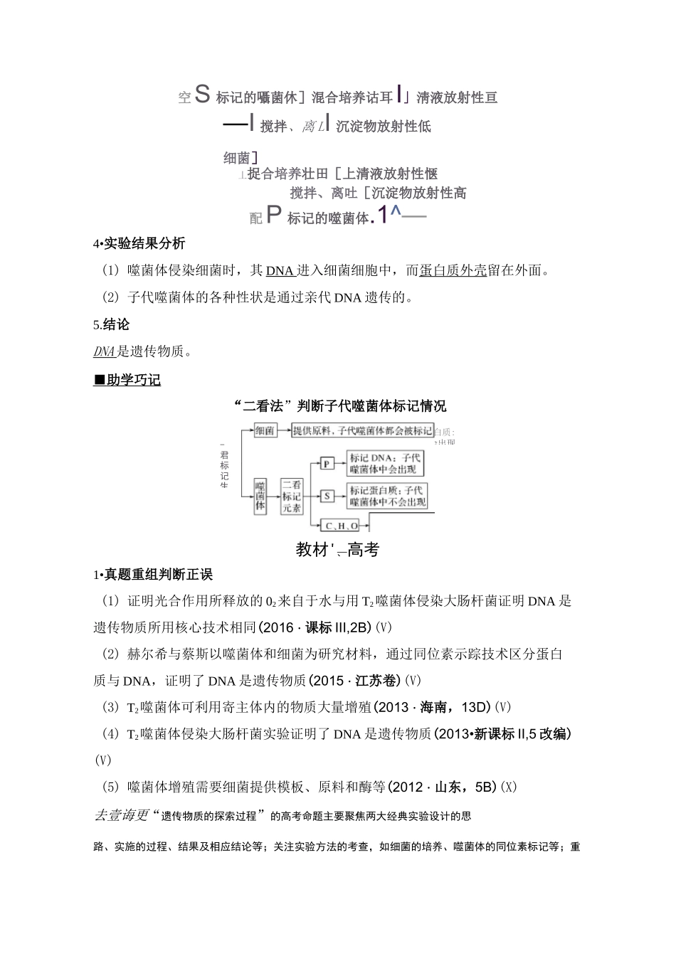 噬菌体侵染细菌_第2页