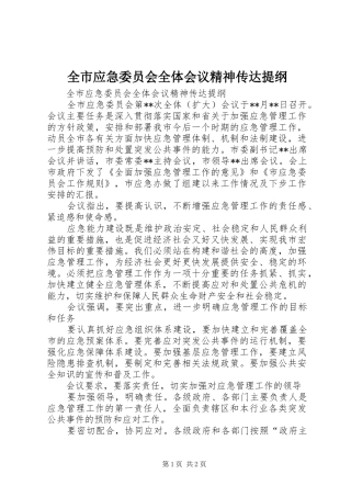 全市应急委员会全体会议精神传达提纲