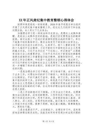 XX年正风肃纪集中教育整顿心得体会