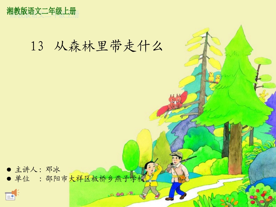 第十三课从森林里带走什么_第1页