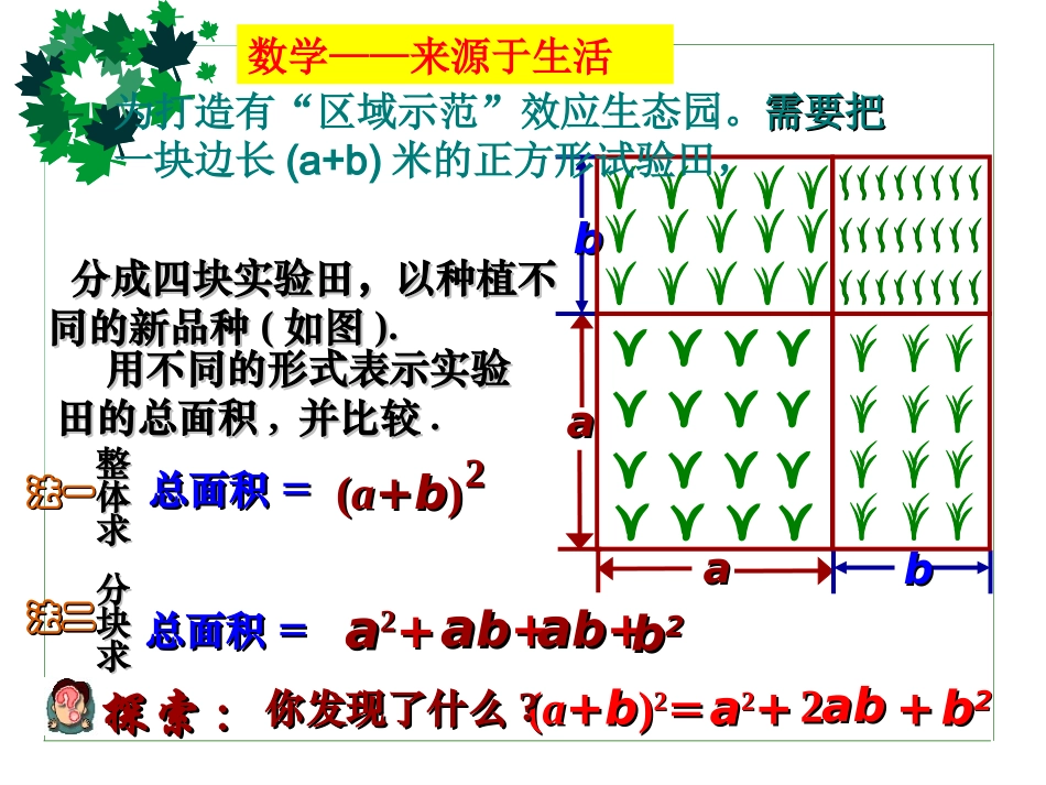 湘七年级数学完全平方公式（公开）_第2页