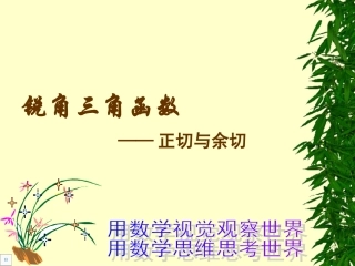 正切余切课件