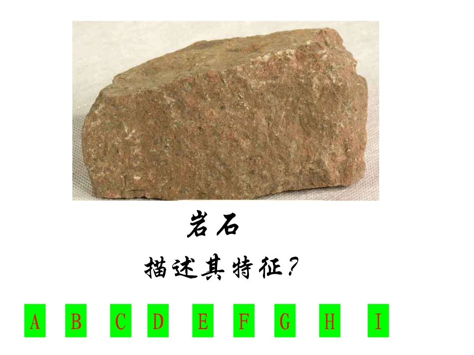 第33节组成地壳的岩石ZL_第2页