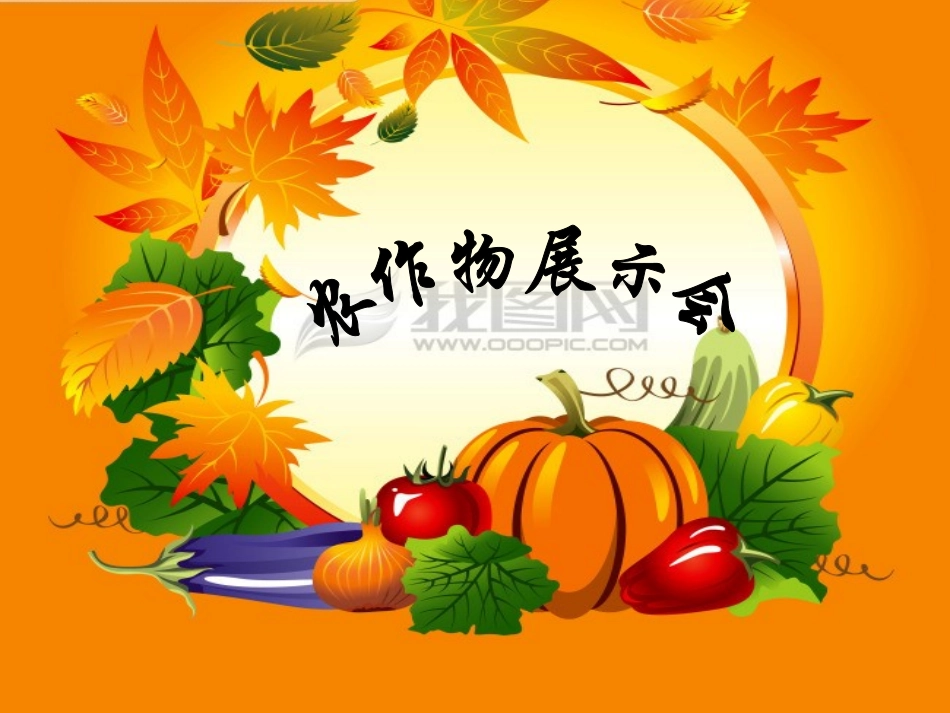 农作物用途大_第3页