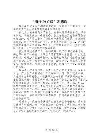 “安全为了谁”之感想