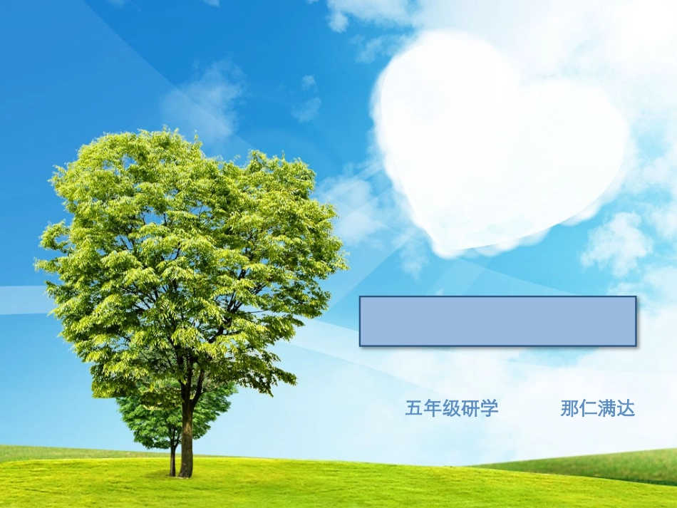 白色污染的调查_第1页