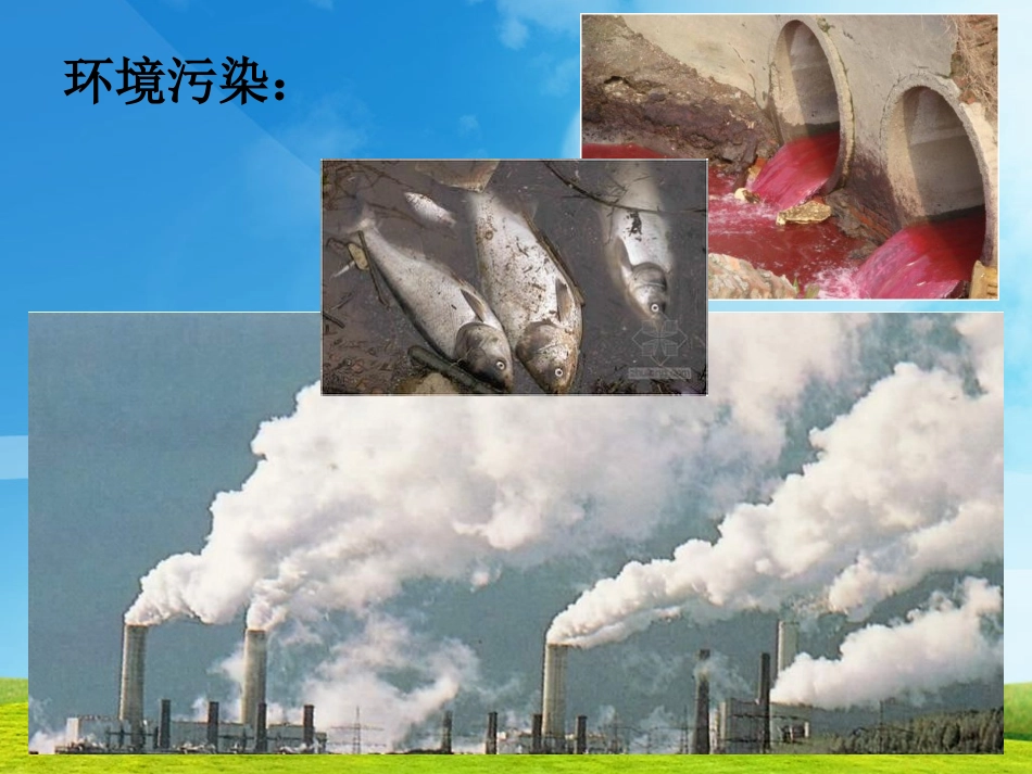 白色污染的调查_第3页