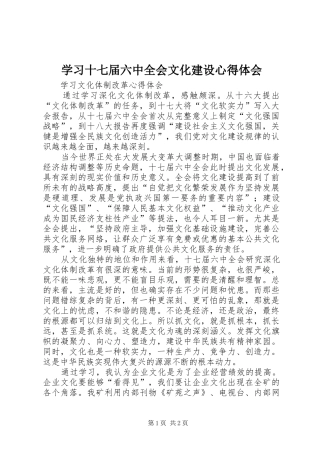 学习十七届六中全会文化建设心得体会