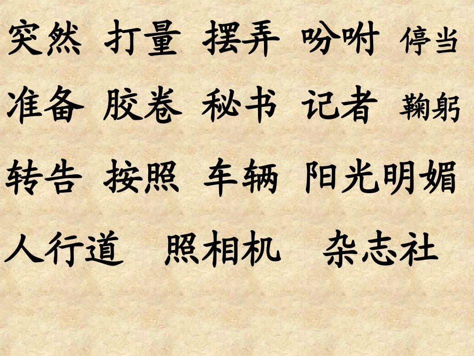 小摄影师第二课时_第2页