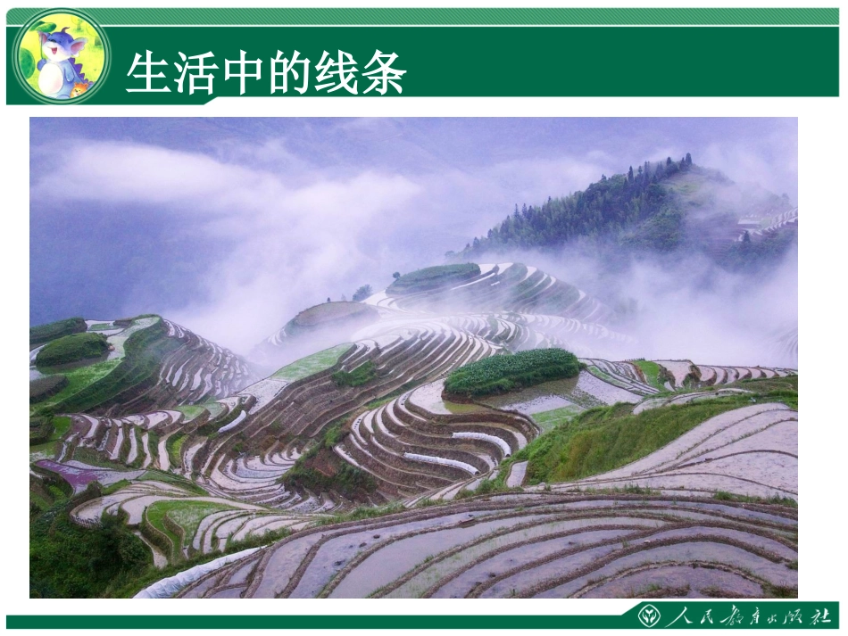 生活中的线条课件_第2页