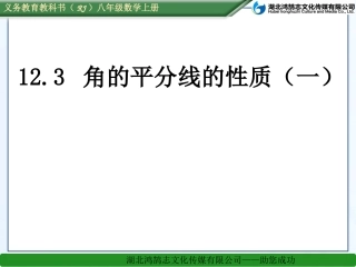 角平分线的性质（）