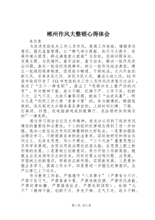 郴州作风大整顿心得体会