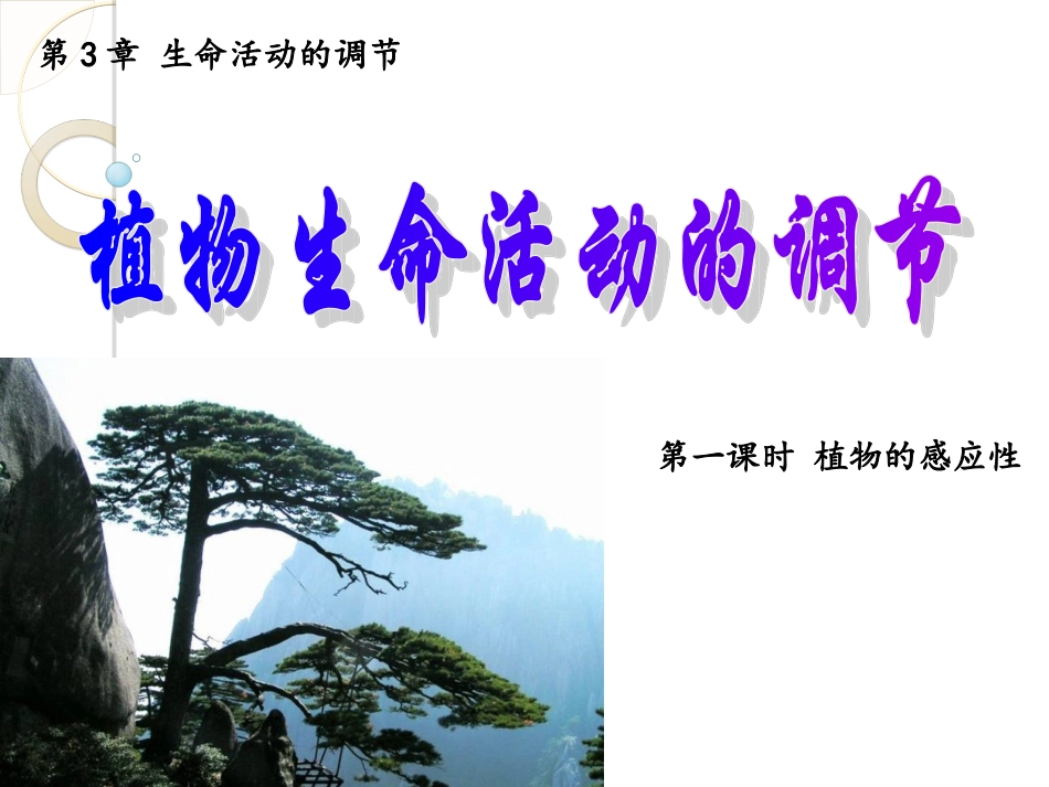 植物生命活动的调节（）_第1页