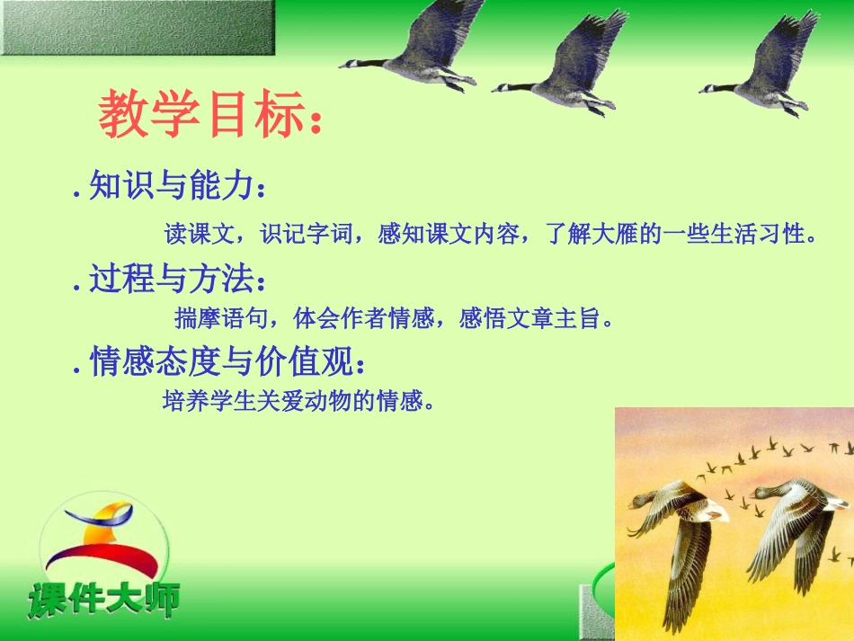 八年级语文大雁归来的课件_第3页